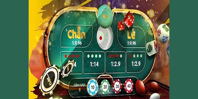 Những lưu ý quan trọng khi tìm hiểu xóc đĩa